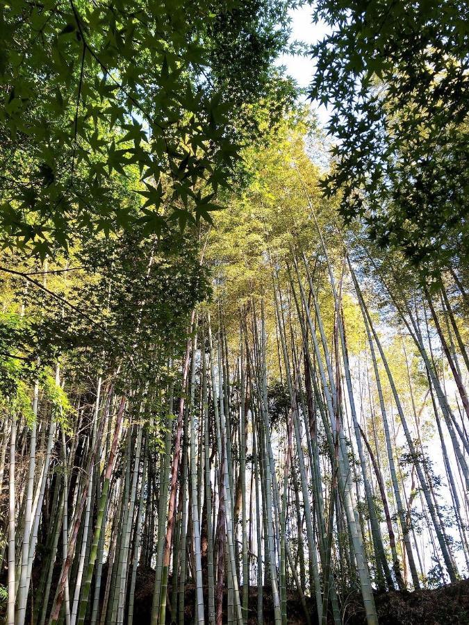 Bamboo Resort Mihama　繋 Міхама Екстер'єр фото